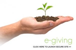 E-Giving