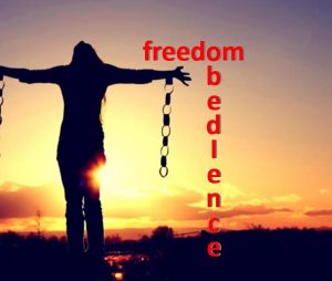 Freedom and Obedience